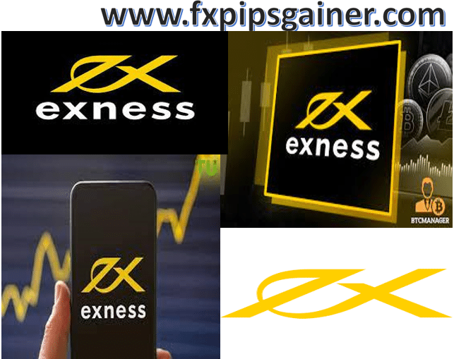 Exploring the Diversity of Exness Trading Instruments Exploring the Diversity of Exness Trading Instruments