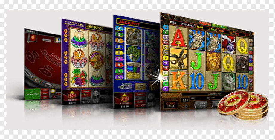 Explore Your Chances with the ToonieBet Bonus