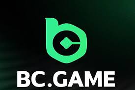 Comprehensive Support Guide for BC.Game Users Comprehensive Support Guide for BC.Game Users